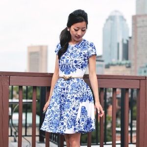Anthropologie • Printed Lace Fit and Flare Dress
